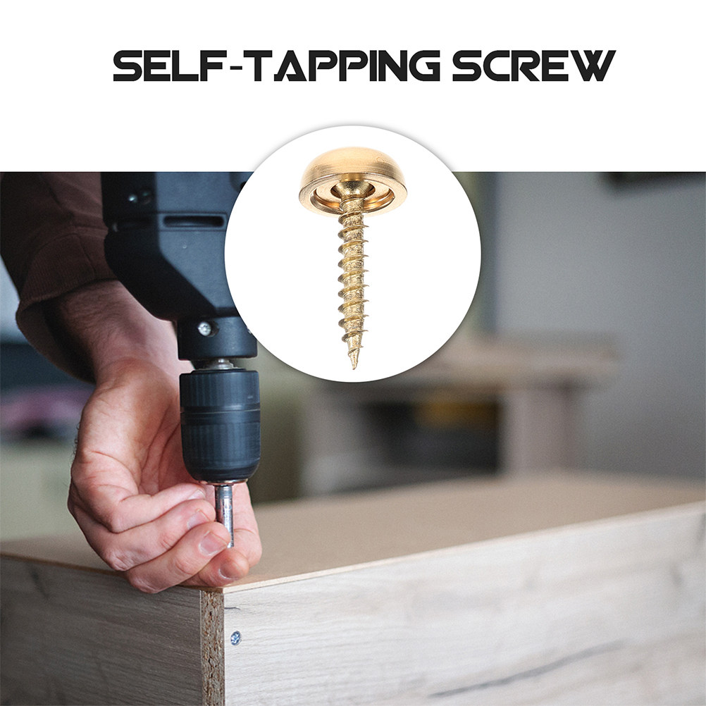 8Pcs Decorative Cap Screws Bra - đánh giá và giá Woodworking Projects Art